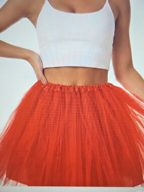 Woman's 4 Layered Tulle Tutu